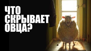 Клининговая компания изнутри | Как открыть клининговый бизнес?