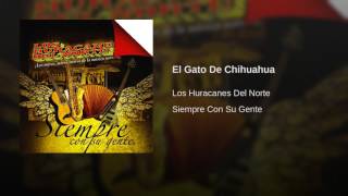Los Huracanes Del Norte - El Gato De Chihuahua