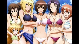 Top 10 Action Harem Ecchi Anime