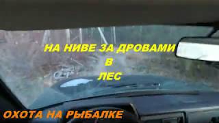 НА НИВЕ ЗА ДРОВАМИ В ЛЕС