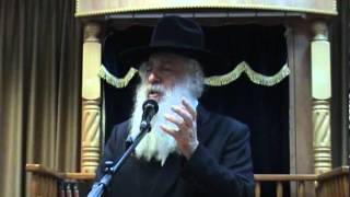 מטרת מכת החושך
