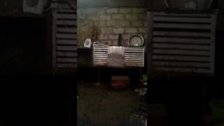 Помещение для нутрий