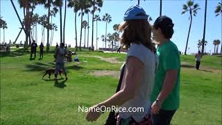 #pitbull #attack #pug PIT BULL ATTACKS PUG DOG (FINGER IN REAR ) VENICE BEACH CALIFORNIA OCT 1, 2016