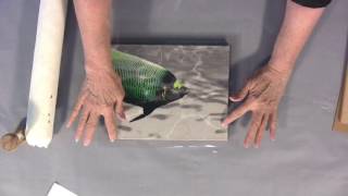 Gelatin Fresco with DASS ART Classic Transfer Film