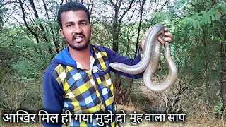 आखिर मिल ही गया मुझे दो मुंह वाला साप | After all I got a two-headed snake.. My mobile 9209640006