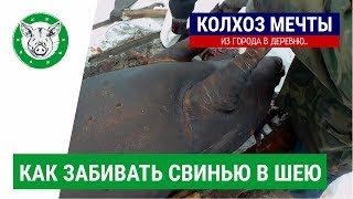Как я забиваю поросенка. Без ужасов, с цензурой))