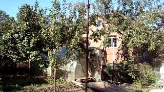 Как оздоровить почву на огороде осенью