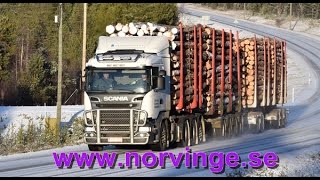 104 ton experiment in northern Finland