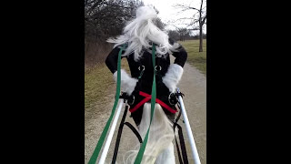 Pony Play Christmas cart ride