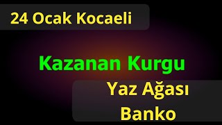 24 Ocak Kocaeli Altılı At Yarışı Tahminleri ve Altılı için Bankoları - TJK