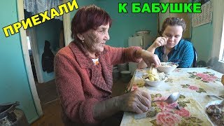 В ДЕРЕВНЮ К БАБУШКЕ / ВЛОГ