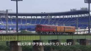 JR四国 重信川鉄橋の一日