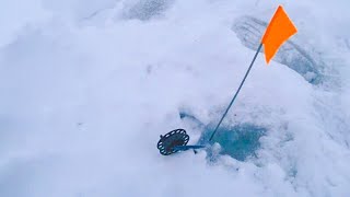 ОРАНЖЕВЫЙ ФЛАГ-ЛЕСКА В НАТЯГ !!! Щука на жерлицы. Зимняя рыбалка на щуку 2018-2019.
