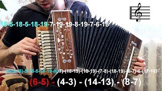 РАЗБОРЫ гармонь | Рюмка водки на столе
