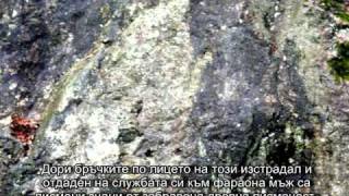 The Tomb of Bast