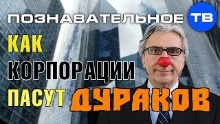 Как корпорации пасут дураков (Познавательное ТВ, Валентин Катасонов)