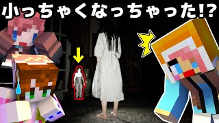【あかがみん女性陣】幽霊に捕まったミニサイズに!?ｗ【Pacify:赤髪のとも】
