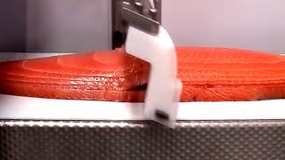 Mesmerizing process of salmon fillet production