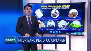 Fitur Baru Kawasan Ekonomi Khusus di UU Ciptaker