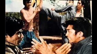 Герой - одиночка  (боевые искусства 1973 год)