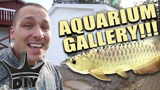 MY NEW AQUARIUM HOUSE!