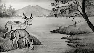 how to draw deer with pencil sketch scenery,how to draw forest scenery,step by step,animals drawing