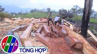 Phát hiện vụ phá rừng quy mô lớn ở vùng giáp ranh Đắk Lắk và Khánh Hòa