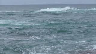 台風通過後の和歌山海況　８月６日火曜日午前７時　さほど海は荒れていません。