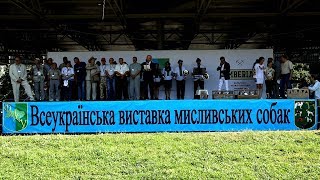 VІ ВСЕУКРАЇНСЬКА ВИСТАВКА МИСЛИВСЬКИХ СОБАК, ч.1 | Охотничьи Собаки