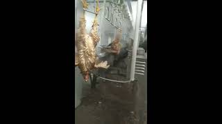 Small capacity chicken slaughter line from China