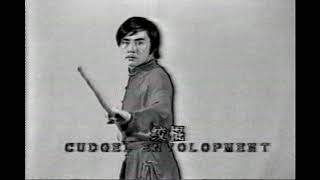 Ушу, кунг фу. Базовая техника шеста Гунь // Wushu, Kung fu Gun Pole Basic Exercise