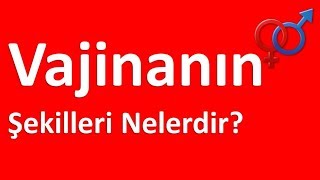 Vajinanın Şekilleri Nelerdir