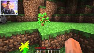 Как запикапить девушку в Minecraftе
