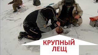 Крупный лещ. Рыбалка на леща зимой