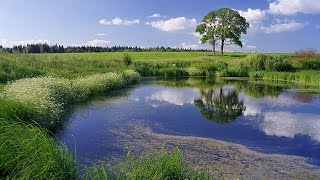Рыбалка в Тюмени на озере Грязное недалеко от Андреевского