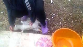 18+, забой , НЕ ДЛЯ СЛАБОНЕРВНЫХ