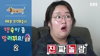 세상에 나쁜 개는 없다 - 배우 하재숙의 행숙이 좀 말려줘요!_#002
