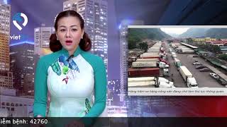 Nông sản xuất sang Tàu cộng giảm hơn 500 triệu USD do dịch