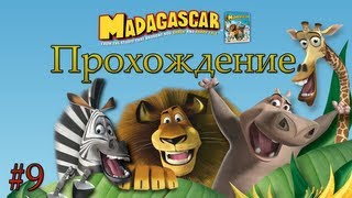 Мадагаскар прохождение - Серия 9