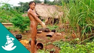 Amazonia: La Selva y el Asfalto (documental completo)