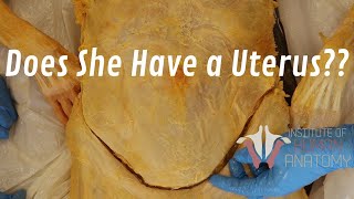 Does She Have a Uterus???