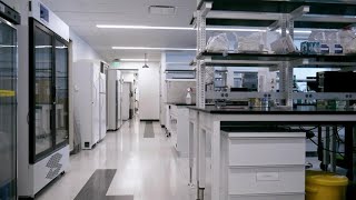 The end of antibiotics? | Panorama - die Reporter | NDR