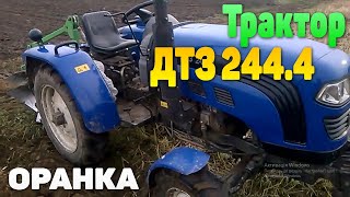 Трактор ДТЗ 244.4 ? (Оранка поля) ?
