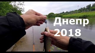 Рыбалка. Днепр после нерестового запрета 2018