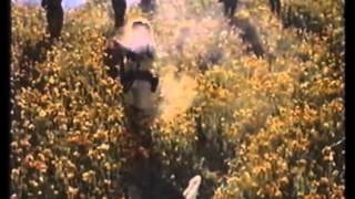 Army Woman getting Shot