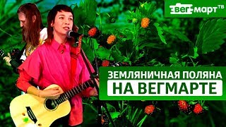 Концерт группы "Земляничная поляна" на Вегетарианском Маркете №25