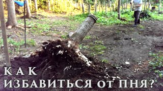 Как ИЗБАВИТЬСЯ от ПНЯ | Простой РЕАЛЬНЫЙ способ