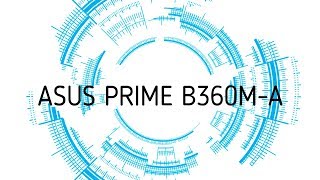Материнская плата ASUS PRIME B360M-A. Распаковка, Microtron