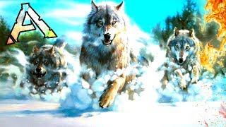 Стая Лютоволков защищают своего хозяина! - ARK: Survival Evolved