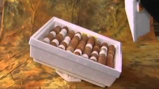 Инкубатор "Квочка", модель МИ-30-1-Э